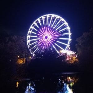 Profile Picture of Manuela Schmidt (@Manuela33065868) on Twitter