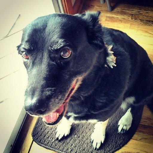 SaraDuane's profile picture. Writing, photography & marketing by day. History, politics, Arts & science by night. Check out my LinkedIn profile: https://t.co/gx3nki4VmX