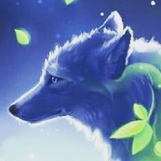 SilverW65381195's profile picture. 