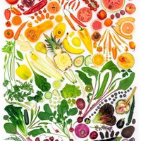 Vegan Design (@design_vegan) 's Twitter Profile