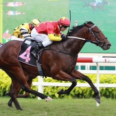 Craig Grylls Profile