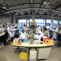 Laboratory for Thrombosis Research (@thrombosis_lab) 's Twitter Profile
