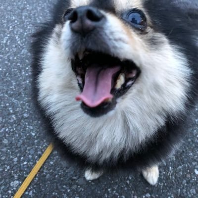 7ka494tene's profile picture. 日曜日と祝日しか休みがなく、毎日忙しく働く兼業主婦です。よろしくお願いします