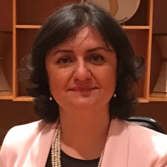 Dr Meral Kayikciogluさんのプロフィール画像