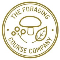 The Foraging Course Company(@foragingcourse) 's Twitter Profile Photo
