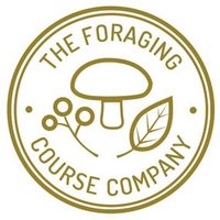 The Foraging Course Company (@foragingcourse) 's Twitter Profile