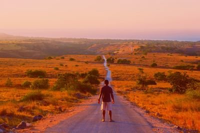 LazarAngelino's profile picture. semper ridens