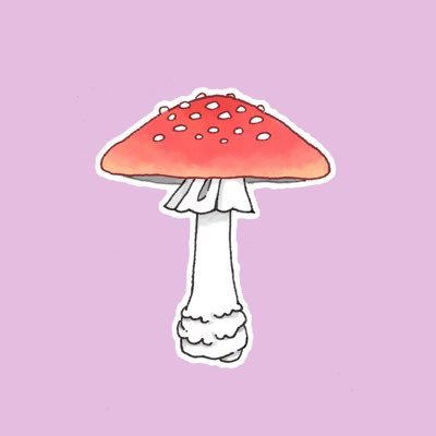 流散亜さんのプロフィール画像