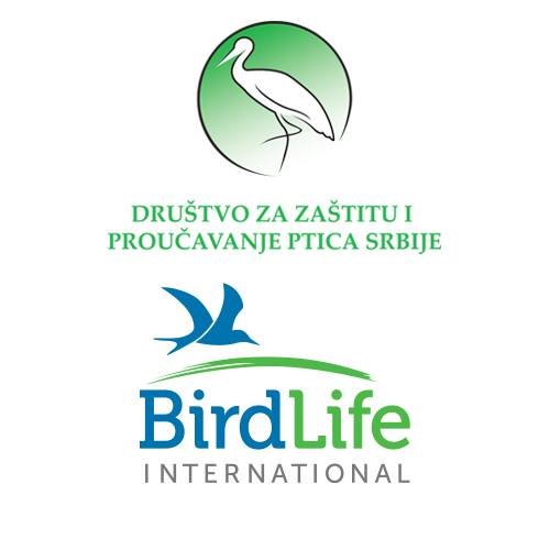 Društvo za zaštitu i proučavanje ptica Srbije - Bird Protection and Study Society of Serbia