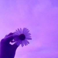 ณภัทรทวิตไง. (@napattaw) 's Twitter Profile