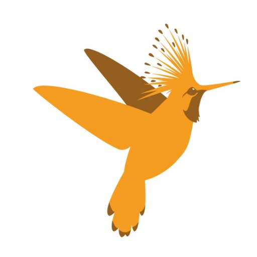 birdingbreaks Profile Picture