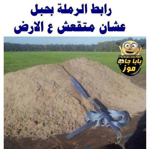 ws33ws33's profile picture. انا واحد من الناس نفسى اعيش من غير ما انداس🙏