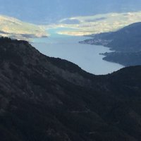 colette henry (@colettehenry18) 's Twitter Profile