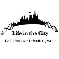 Life In The City: Urban Evolution(@LITC_urbanevo) 's Twitter Profile Photo