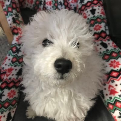 dkrel's profile picture. - Just wasting time