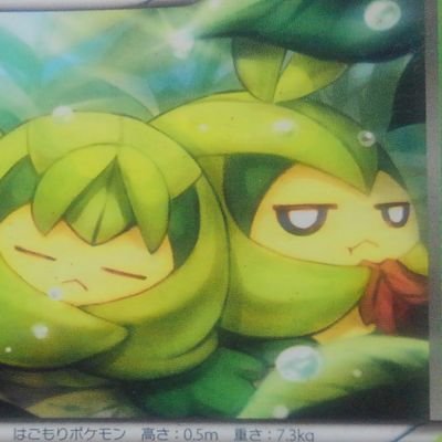 ねてたべ わー 手作りクルマユ久しぶりに見ました 本当に可愛いですねー ねてたべ わー 手作りクルマユ久しぶりに見ました 本当に可愛いですねー