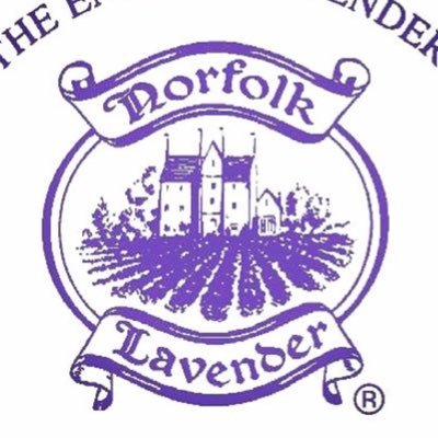 Norfolk Lavender