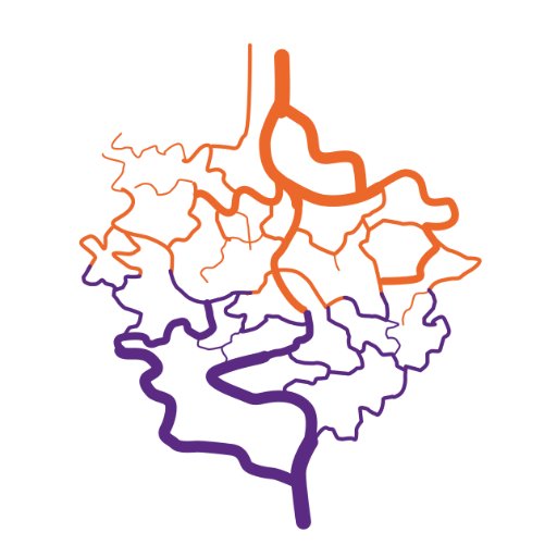 Laboratory of Angiogenesis and Vascular Metabolism @VIB @KU_Leuven.  Open Staff Scientist, Postdoc, PhD and Labtech positions! 📭Contact us for more information