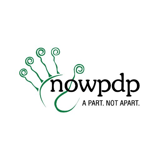 NOWPDP is a disability inclusion initiative working in the areas of identity, welfare, education, and economic empowerment of persons with disabilities