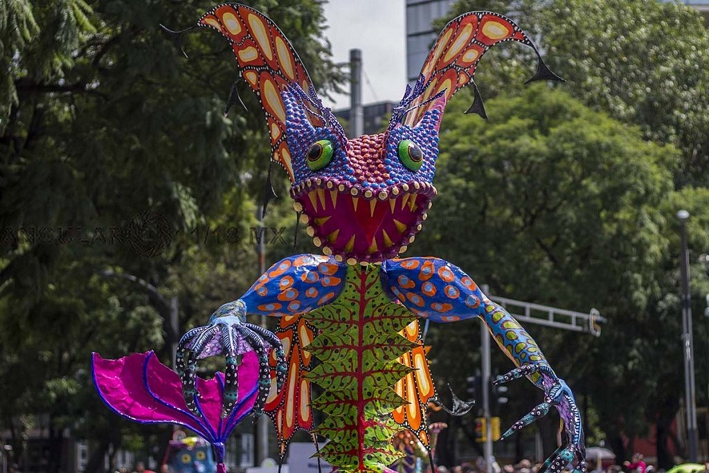 Tepehua7's profile picture. Promover y difundir #EducacionCivica  #TejidoSocial #EquidadDeGenero #DerechosHumanos #TrasporteSeguro #MedioAmbiente #DeEstePueblo #CDMX