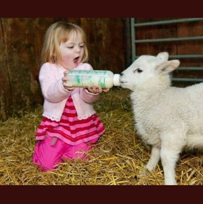 vicob32's profile picture. 