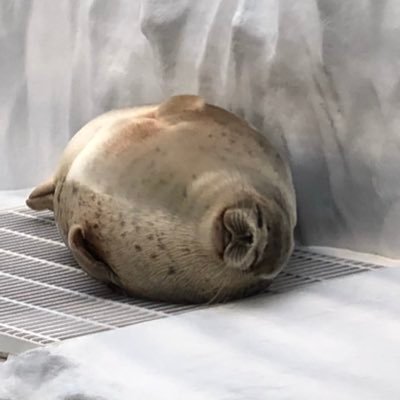 こばやしりんか