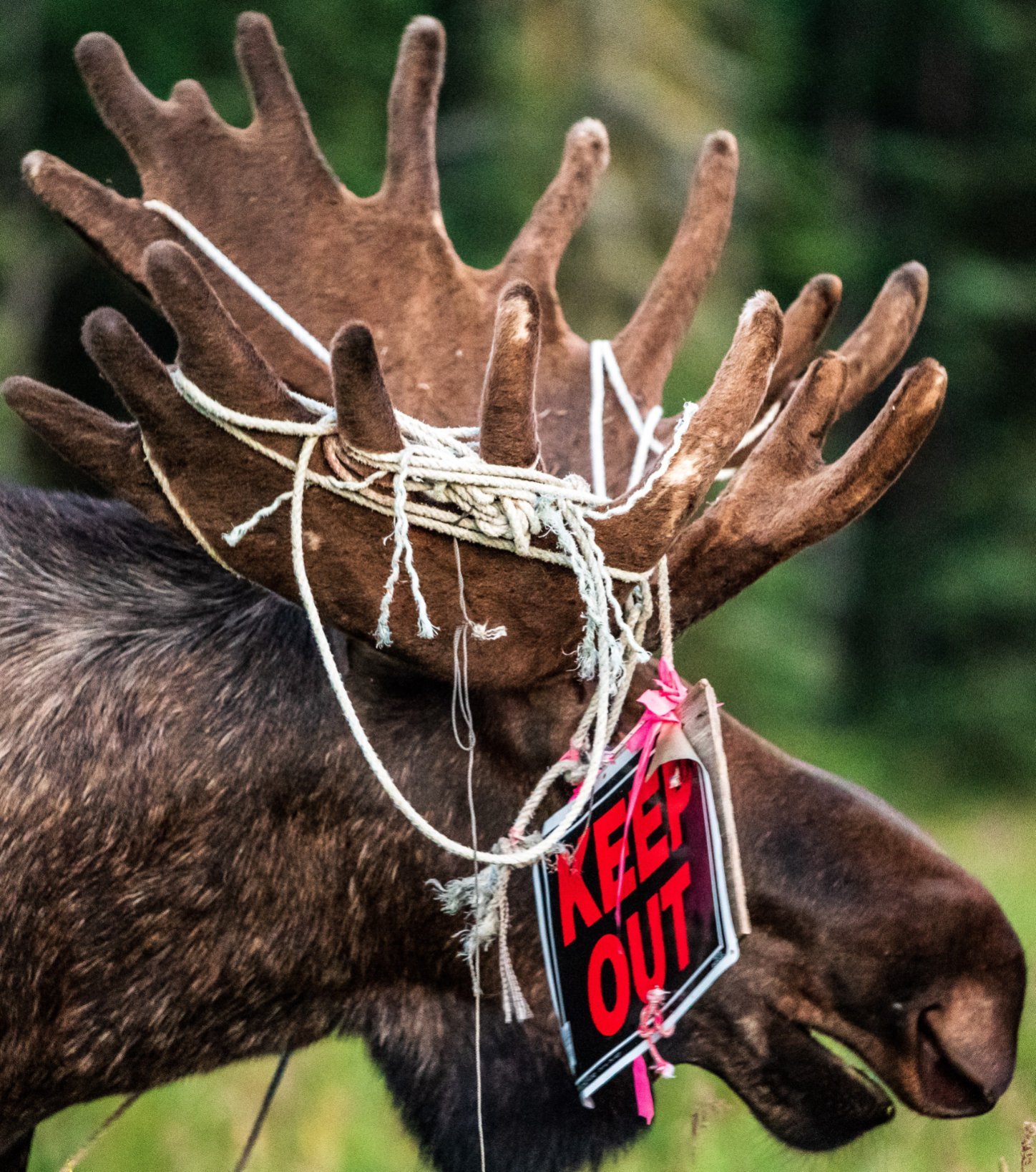 EnlightenMarsh's profile picture. 