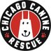 ChicagoCanineRescue (@ccr_pups) Twitter profile photo ChicagoCanineRescue (@ccr_pups) Twitter profile photo