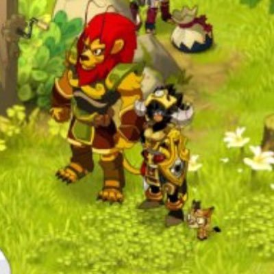 soldat herotique confirmé, joueur dofus, Ouginak 200 présent sur le serveur Ulette