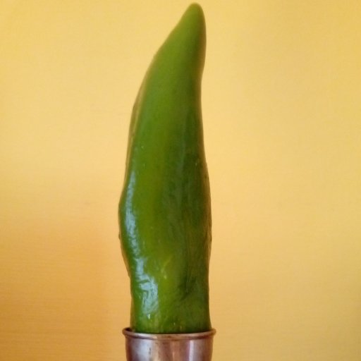 Zalear's profile picture. En cualquier rincón de España estoy en mi pueblo.
Aplaudo lo que me parece razonable lo diga quien lo diga.