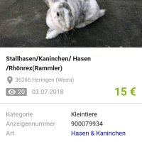 Jutta Gerda Kneifel (@kneifelgerda) 's Twitter Profile