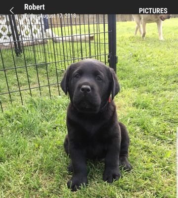 kim76morrison's profile picture. 