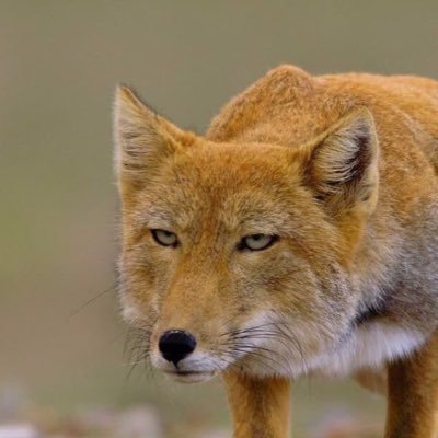 aze__________'s profile picture. 