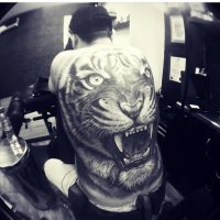 Celso Hdz S. (@david666_78) 's Twitter Profile