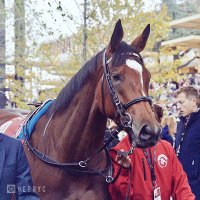 Enable (@enablefilly) 's Twitter Profile Photo Enable (@enablefilly) 's Twitter Profile Photo