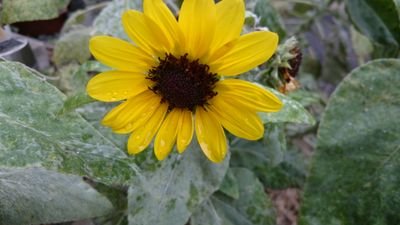 D9BWC43tdWGRL7f's profile picture. 鬱屈した日々
毎日短歌