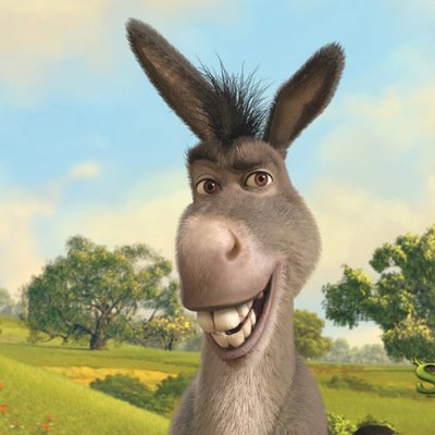 El Burro de Shrek (@ElBurrodeShrek1), Twitter