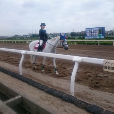 家族に隠れながら、趣味を堪能してる。