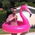 Flamingo Boy (@boy_flamingo) Twitter profile photo Flamingo Boy (@boy_flamingo) Twitter profile photo