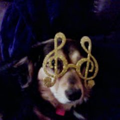 Snow15432's profile picture. "freet"