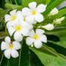 Narendra Sahu (@narendra9370) Twitter profile photo Narendra Sahu (@narendra9370) Twitter profile photo