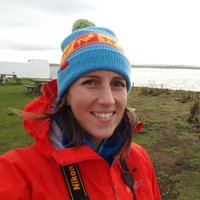 Jude Lane (@heyjooode) 's Twitter Profile
