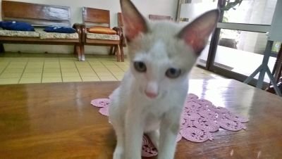 kaewsg1's profile picture. จงทำดี จงทำดีและจงทำดี