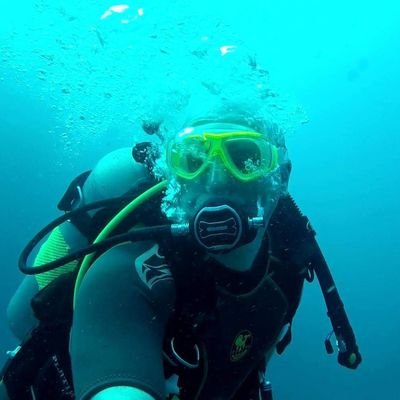 IT Contractor. Into Sci-Fi, Scuba, Shooting, Italian Red Wines, an occasional risqué joke and RichTea biscuits....