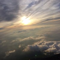 raion (@raion38232812) 's Twitter Profile