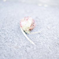 てん_N3 (@_naru_13) 's Twitter Profile