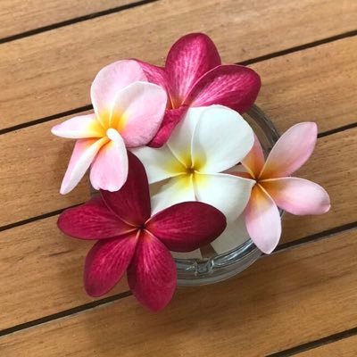 jiluah's profile picture. Just a Mom