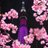 名もある老人(旧:山本貴治)のアイコン