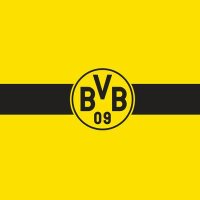 Todo Dortmund (@todobvb) 's Twitter Profile