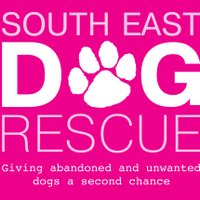 SouthEastDogRescueSEDR (@eastsedr) 's Twitter Profile